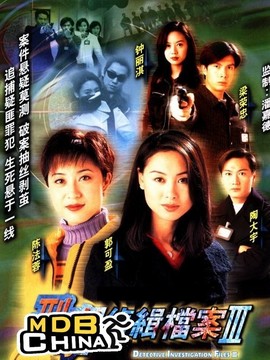 刑事偵緝檔案3