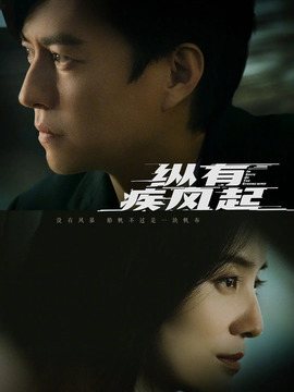 縱有疾風(fēng)起