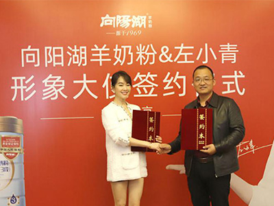 左小青代言向陽湖羊奶粉，攜手品牌再次升級